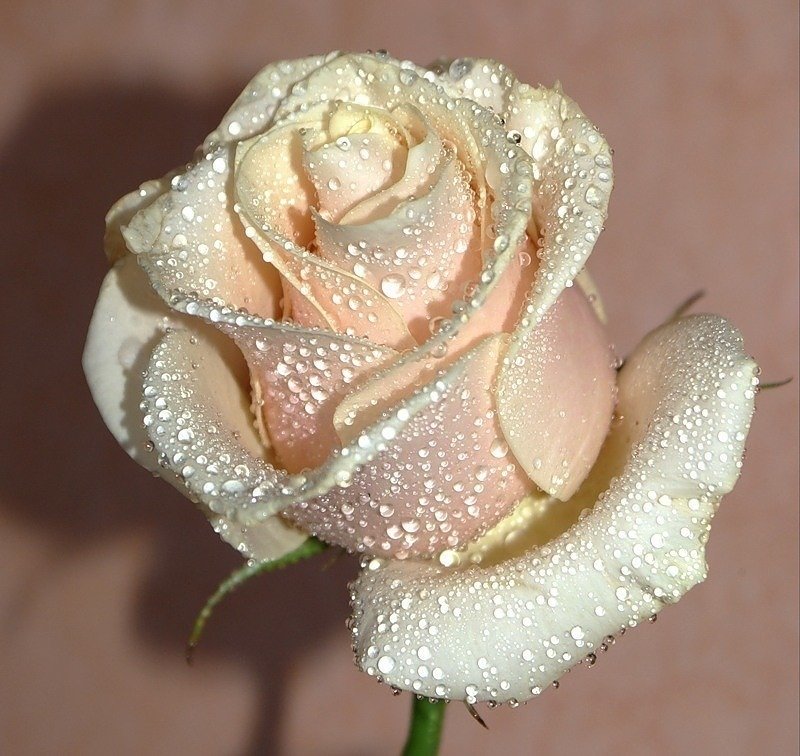 №2358048 - оригинал