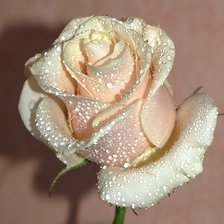 Схема вышивки «№2358048»