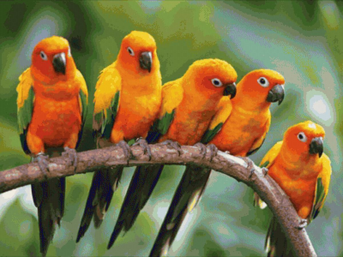 №2358061 - предпросмотр