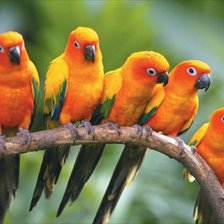 Схема вышивки «№2358061»