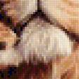 Предпросмотр схемы вышивки «лев» (№2358448)
