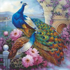 Схема вышивки «pauni»