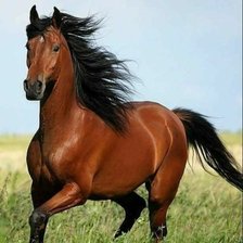 Схема вышивки «Call»