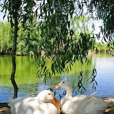 Схема вышивки «№2358670»