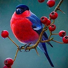 Схема вышивки «Снигирь для заи»