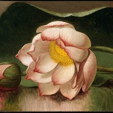 Схема вышивки «лотос»