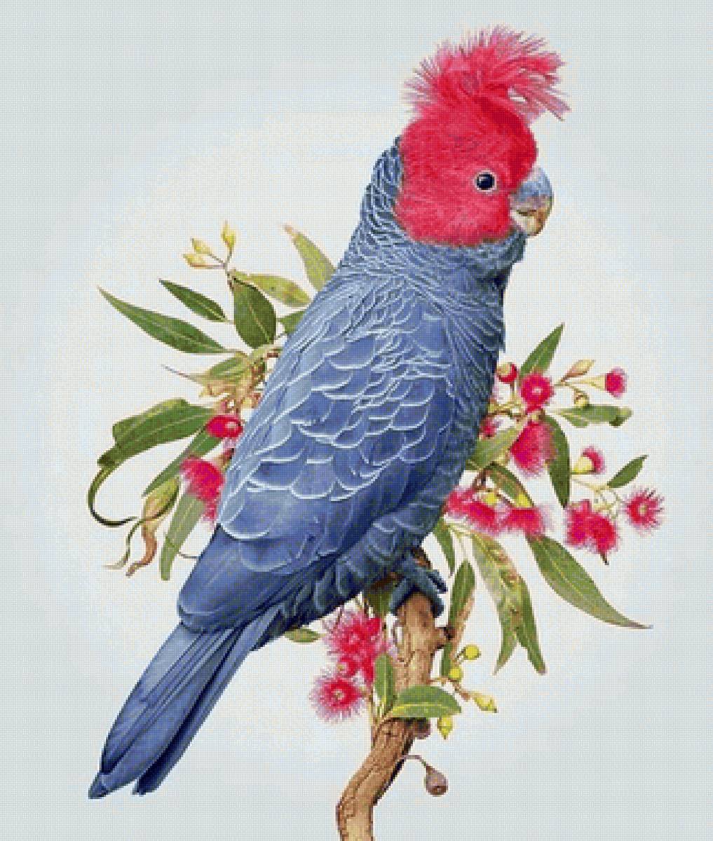 Pássaro. - pássaro. flores. - предпросмотр