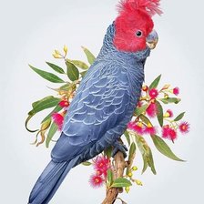 Схема вышивки «Pássaro.»