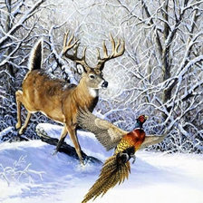 Схема вышивки «№2359035»