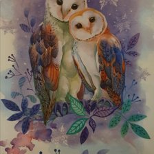 Милые совушки