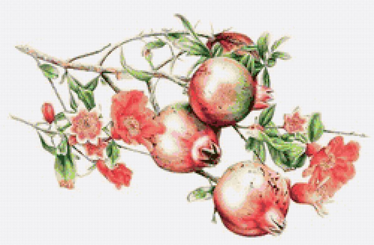 Granat- australian flowers - цветы - предпросмотр