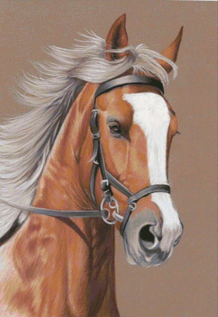 Лошадка - предпросмотр