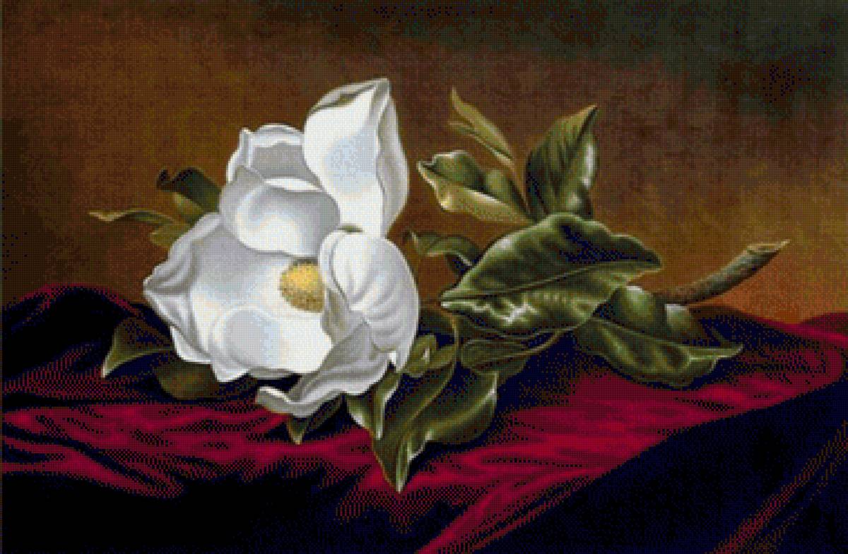 flori - предпросмотр