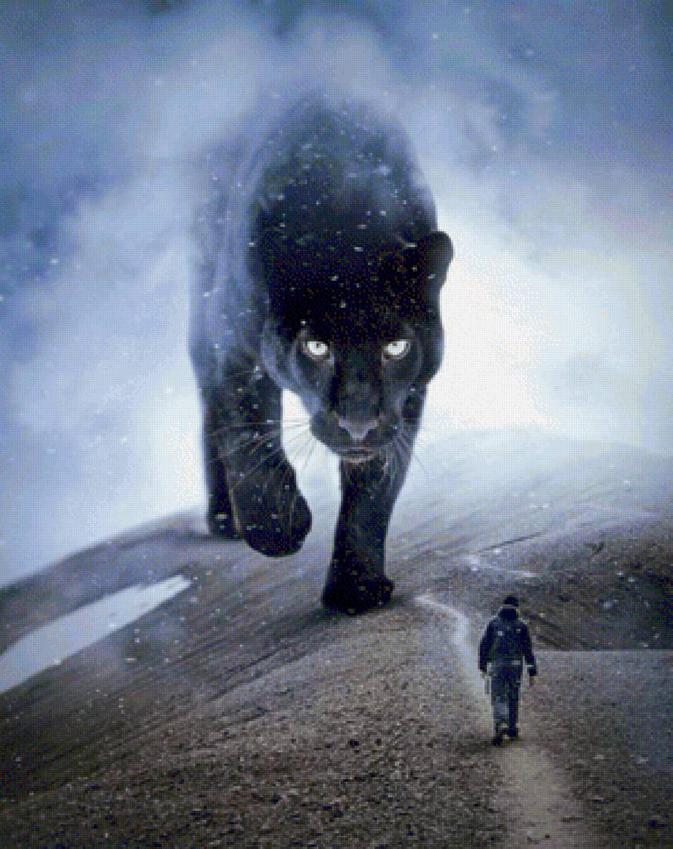 Иллюзия - черная пантера, горы, человек - предпросмотр