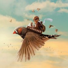 Схема вышивки «Быстрый полет»