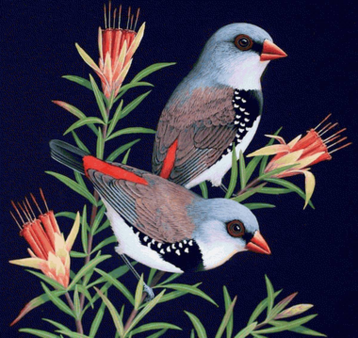 Casal de pássaros. - pássaros. flores. - предпросмотр