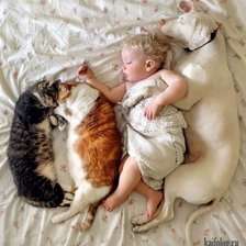 Схема вышивки «сладкий сон»