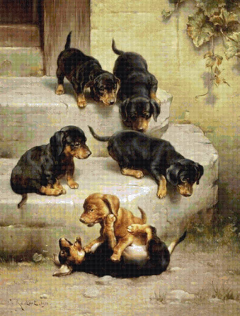 молодые таксы - собаки, живопись, карл рейхерт - предпросмотр