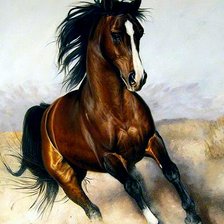 Схема вышивки «Галоп. Бруно Тина Августо»