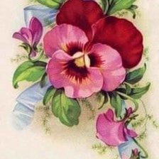 Схема вышивки «flores»