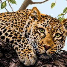 Схема вышивки «Леопард»