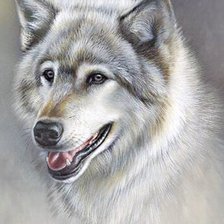 Схема вышивки «Волк»