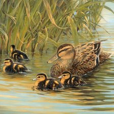 Схема вышивки «Утка с утятами»