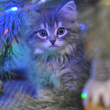 Схема вышивки «НОВЫЙ ГОД»