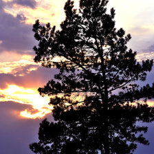 Схема вышивки «ЛЕТО, ЗАКАТ, ПРИРОДА»