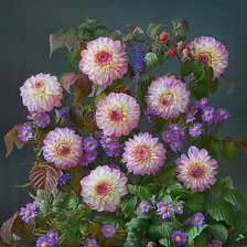 Схема вышивки «dalie»