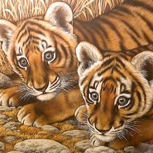 Схема вышивки «Тигрята»