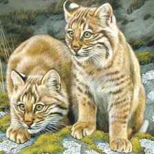 Схема вышивки «Рысята»