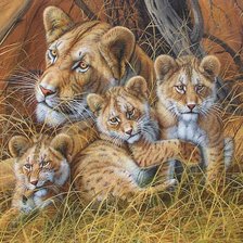 Схема вышивки «Тигриное семейство»