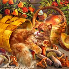 Схема вышивки «Котик»