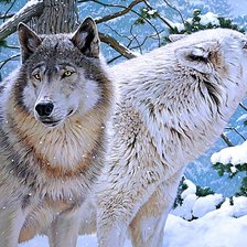 Схема вышивки «Волки»