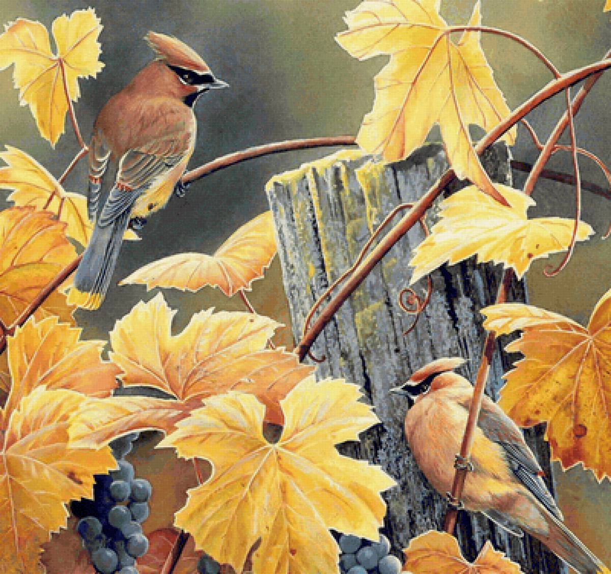 Птицы - птицы - предпросмотр