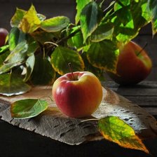 Схема вышивки «№2364301»