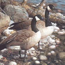 Схема вышивки «№2364320»