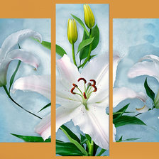 Схема вышивки «лилии на синем»