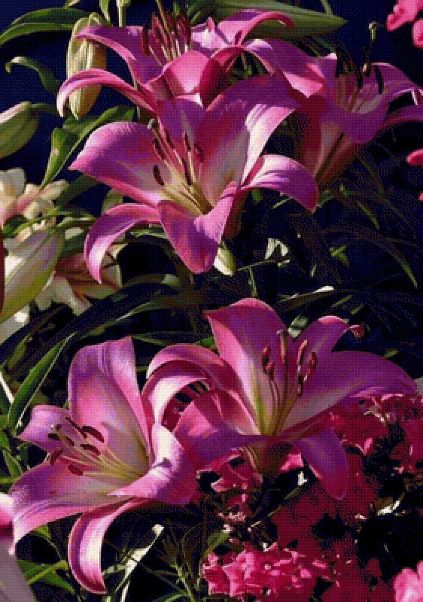 primavera - flores - предпросмотр