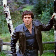 высоцкий у березы