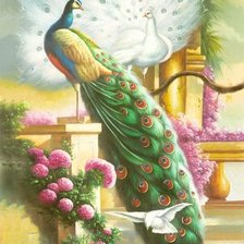 Схема вышивки «№2365864»