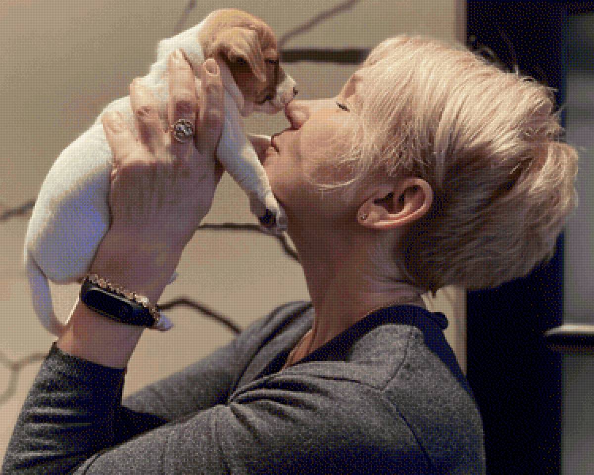 Это Любовь - друг человека, любовь, собаки - предпросмотр