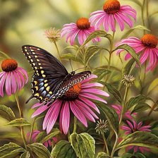 Схема вышивки «№2365997»