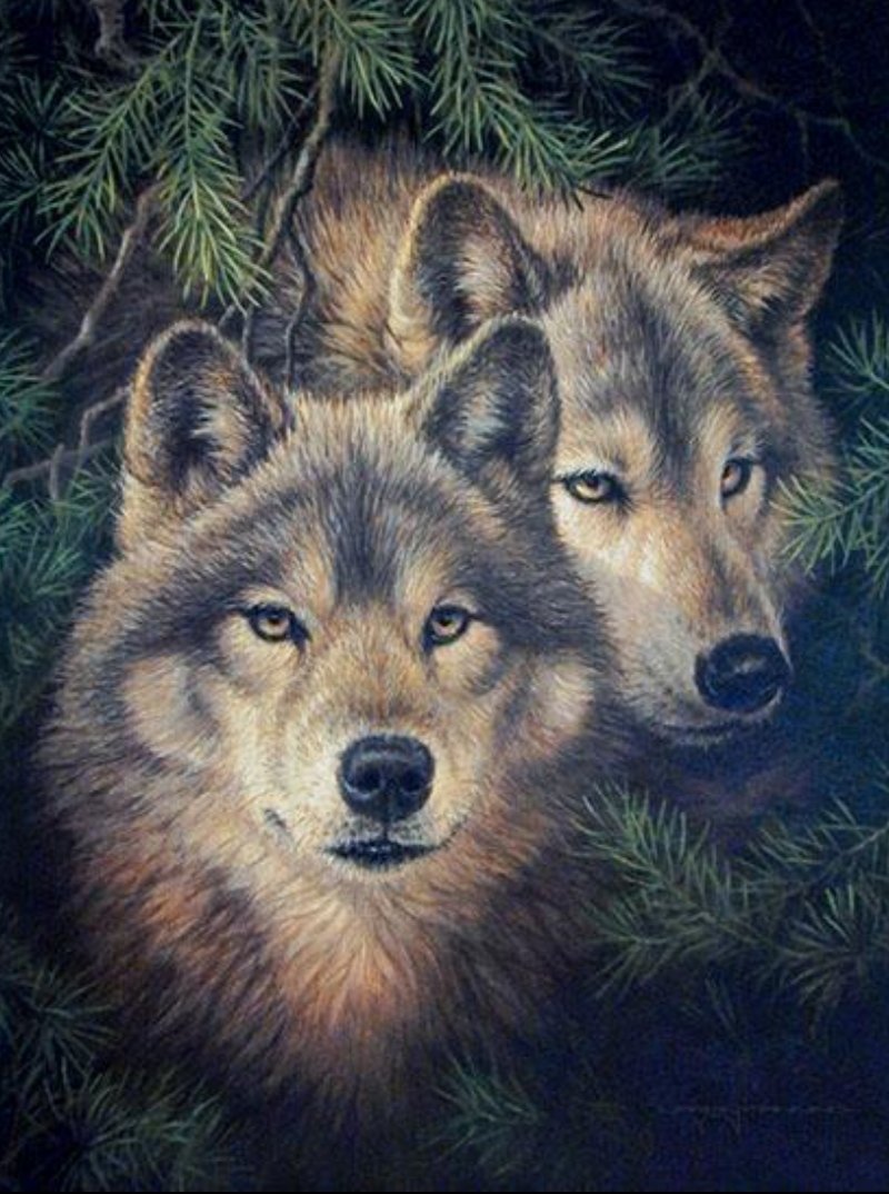 Волки - оригинал