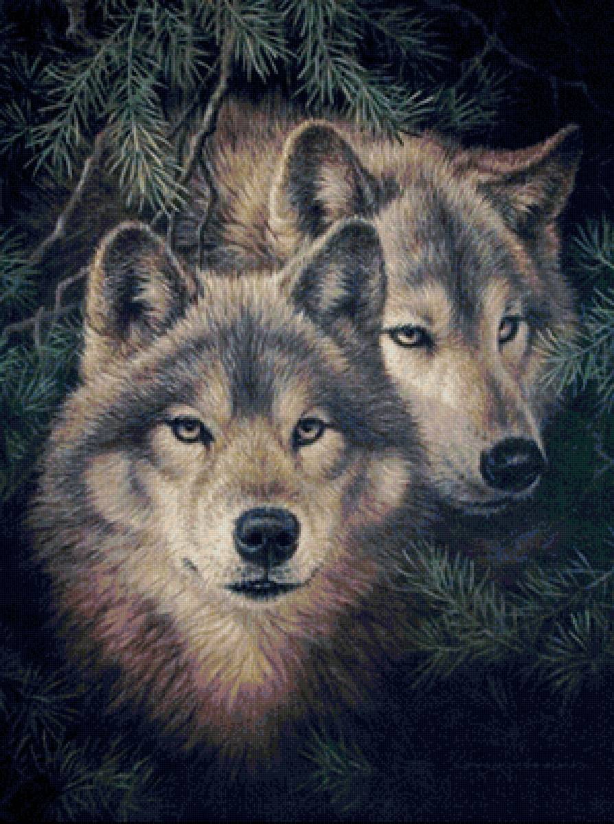 Волки - предпросмотр