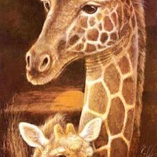 Схема вышивки «Семья жирафов»