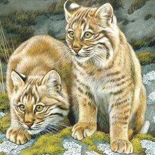 Схема вышивки «Рысята»