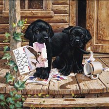 Щенки лабрадора