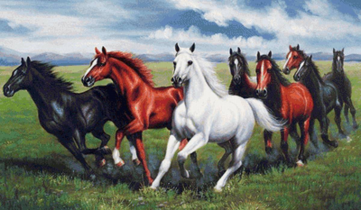 Табун - предпросмотр